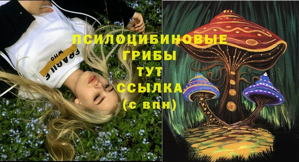 прущий лед Нефтекумск