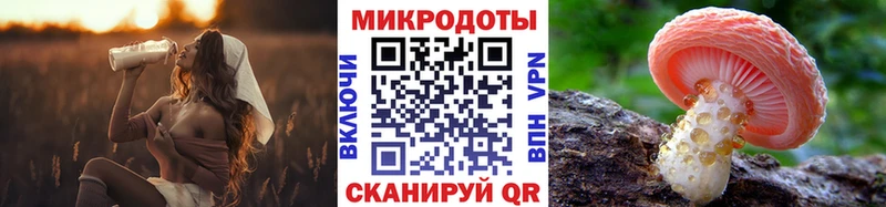 как найти   Кодинск  Псилоцибиновые грибы мицелий 